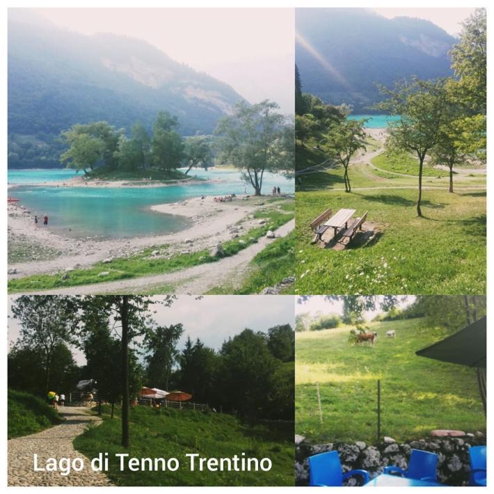 Agritur Tenno Cantina Bio Natura מראה חיצוני תמונה